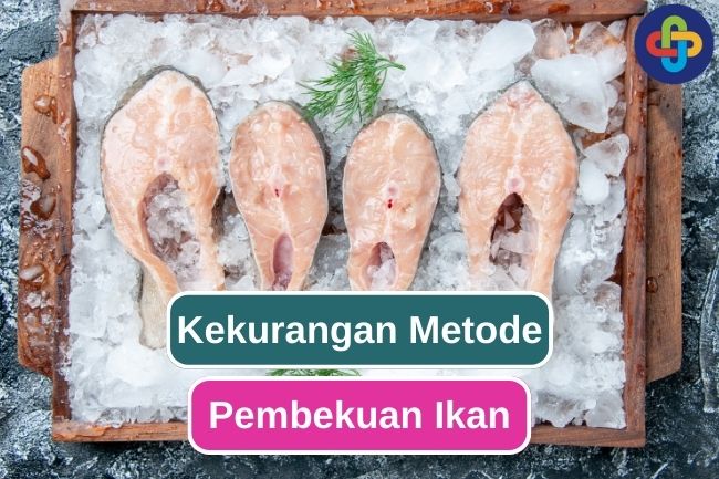 5 Alasan Metode Pembekuan Ikan Perlu Dipertimbangkan